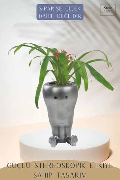 Stein Kohle Çiçek Saksısı Dekoratif Kaktüs Saksı 1 Adet Gümüş Renk Eskitme Uygulamalı Havuç Model - Resim 4