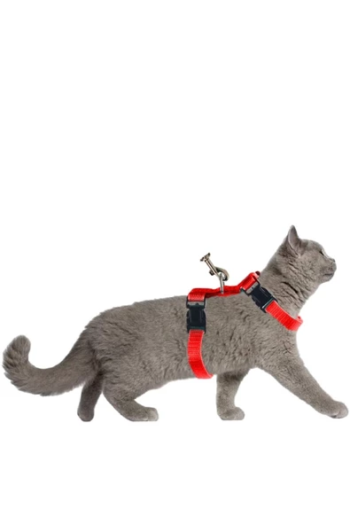 Pandogo Kedi Köpek Tasması Ayarlanabilir Bedenli Kaçış Önleyici Tasarım Sevk Kayışlı Dubai Model Kırmızı ürün görseli