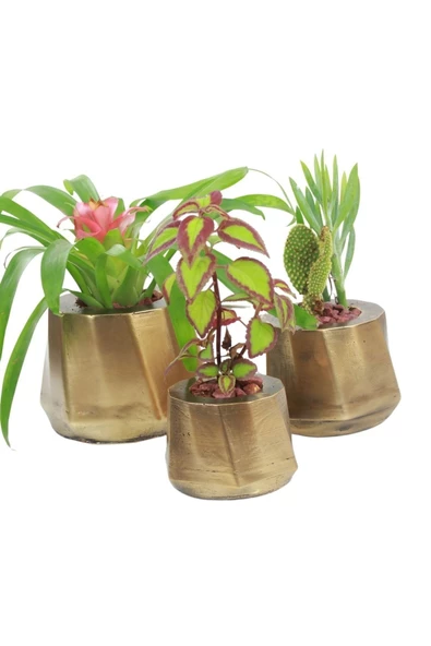 Evene Saksı Çiçek Kaktüs Saksısı Lüx 15 Cm Altın Eskitme Varak Boyalı Kalın Çizgi Desen 3'lü Set Çiçeklik ürün görseli 1