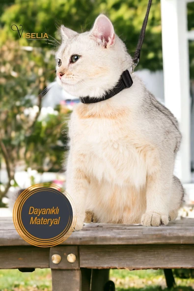Viselia Kedi Tasması Boyun Göğüs Ayarlanabilir Sevk Kayışlı Gezdirme Seti - Resim 3