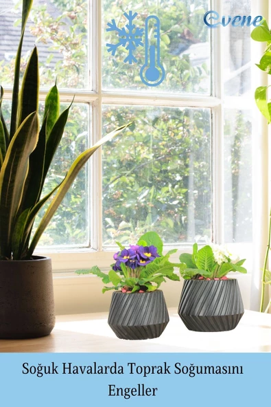 Evene Saksı Büyük Saksı Çiçek Saksısı Büyük Boy Saksı Salon Saksısı Model 6 Siyah Saksı - Resim 5