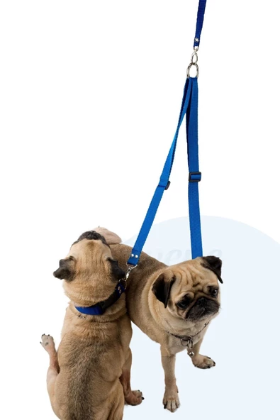 Evene Kedi Gezdirme Tasması Kedi Gezdirme Ipi Çiftli Tasma Model 9 Mavi - Resim 3