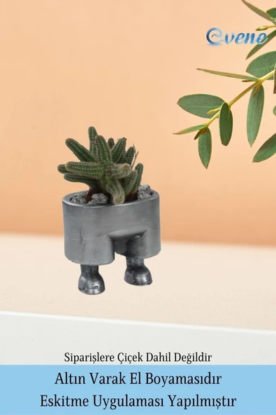 Evene Saksı Çiçek Kaktüs Saksısı Lüx 13 Cm Gümüş Eskitme Varak Boyalı Pantolon Desenli 3'lü Set Çiçeklik - 5