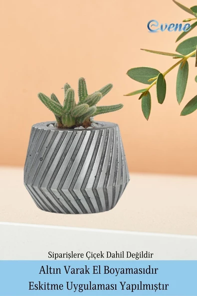 Evene Saksı Çiçek Kaktüs Saksısı Lüx 15 Cm Gümüş Eskitme Varak Mekanik Dişli Desen Saksı 2li Set Çiçeklik - Resim 5