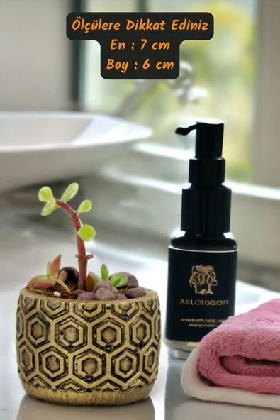 Viselia Kaktüs Saksısı Sukulent El Yapımı Saksı Balkon Çiçek Saksısı Ev Saksısı Saksı Model 2 Altın - Resim 3