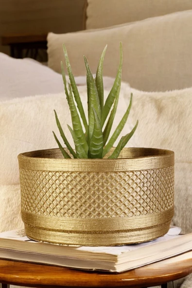 Stein Kohle Dekoratif Saksı Minik Kaktüs Saksısı Altın Renk Model 22 ürün görseli 1