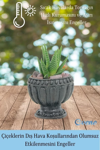Evene Mini Çiçek Saksı Küçük Sukulent Siyah Kaktüs Saksısı Antika Model - Resim 4