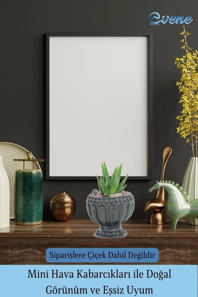 Evene Mini Çiçek Saksı Küçük Sukulent Siyah Kaktüs Saksısı Antika Model - Resim 6