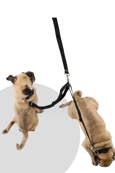 Evene Kedi Gezdirme Tasması Kedi Gezdirme Ipi Çiftli Tasma Model 9 Siyah - Resim 3