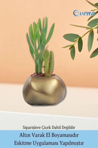 Evene Saksı Çiçek Kaktüs Saksısı Lüx 14 Cm Altın Eskitme Varak Boyalı Elips Desenli 3'lü Set Çiçeklik - Resim 5