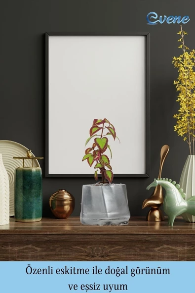 Evene Saksı Çiçek Kaktüs Saksısı Lüx 15 Cm Gümüş Eskitme Varak Boyalı Kalın Çizgi Desen 3'lü Set Çiçeklik - Resim 8