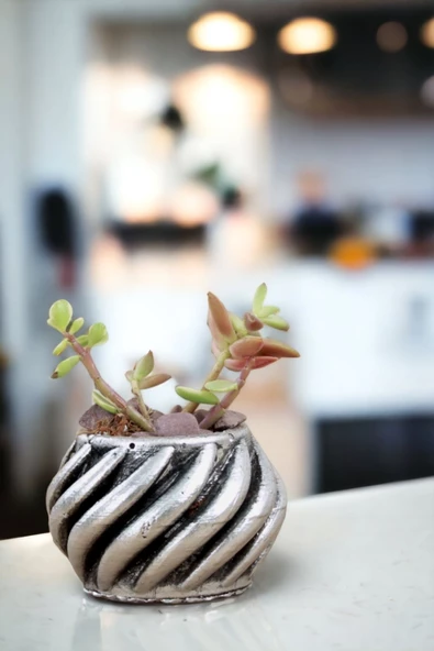 Viselia Kaktüs Saksısı Sukulent El Yapımı Saksı Balkon Çiçek Saksısı Ev Saksısı Saksı Model 4 Gümüş - Resim 4