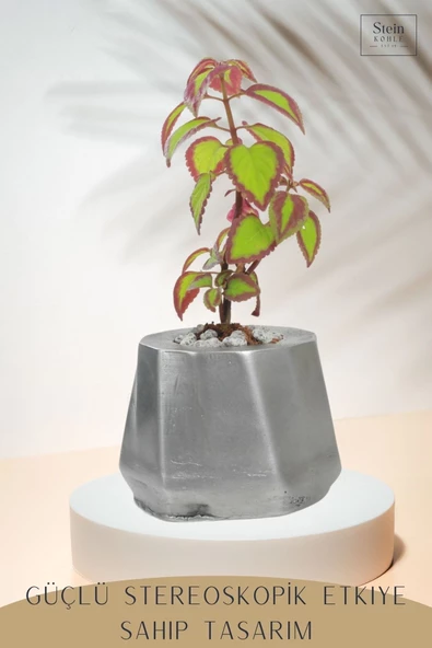 Stein Kohle Çiçek Saksısı Büyük Boy 3 Adet Gümüş Renk Eskitme Uygulamalı Kalın Çizgi Model - Resim 5