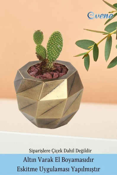 Evene Saksı Çiçek Kaktüs Saksısı Lüx 15 Cm Altın Eskitme Varak Boyalı Burgulu Desen Saksı 2li Set Çiçeklik - Resim 5