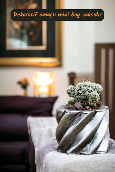 Viselia Kaktüs Saksısı Sukulent El Yapımı Saksı Balkon Çiçek Saksısı Ev Saksısı Saksı Model 9 Gümüş - Resim 2