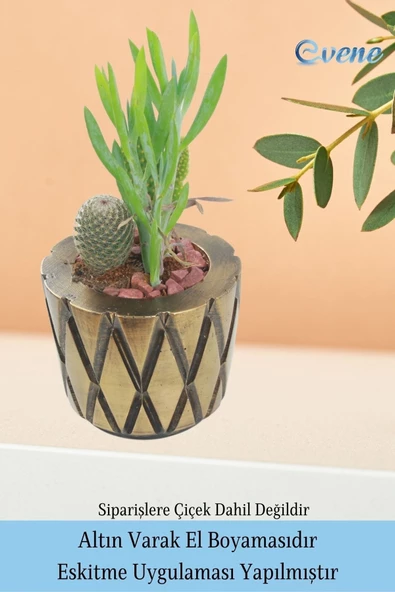 Evene Saksı Çiçek Kaktüs Saksısı Lüx 15 Cm Altın Eskitme Varak Boyalı Baklava Desenli 3'lü Set Çiçeklik - 5