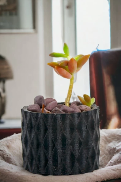 Viselia Kaktüs Saksısı Sukulent El Yapımı Saksı Balkon Çiçek Saksısı Ev Saksısı Saksı Model 16 Siyah ürün görseli 1