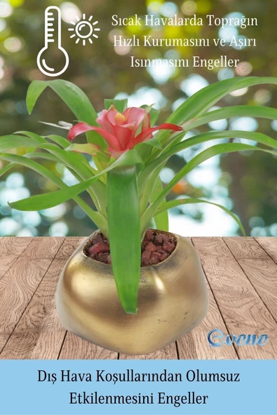 Evene Saksı Çiçek Kaktüs Saksısı Lüx 14 Cm Altın Eskitme Varak Boyalı Elips Desenli 3'lü Set Çiçeklik - Resim 6