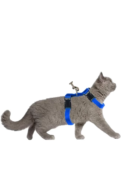 Pandogo Kedi Köpek Tasması Ayarlanabilir Bedenli Kaçış Önleyici Tasarım Sevk Kayışlı Dubai Model Mavi