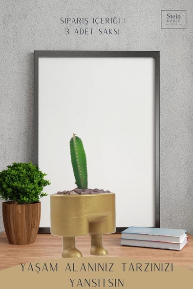 Stein Kohle Çiçek Saksısı Büyük Boy 3 Adet Altın Renk Uygulamalı Pantolon Model - 4