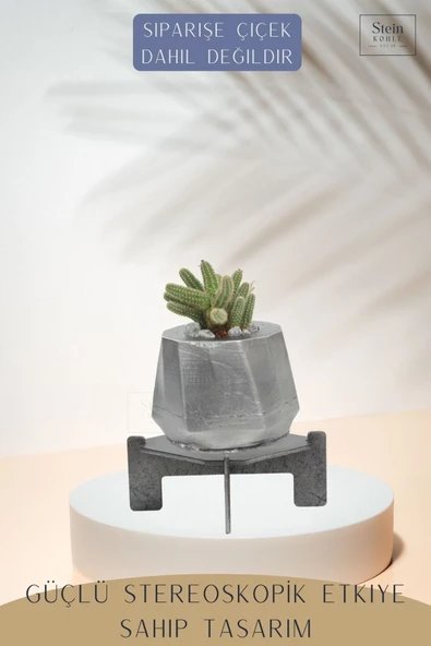 Stein Kohle Ayaklı Saksı Ahşap Büyük Boy 1 Adet Gümüş Renk Eskitme Uygulamalı Kalın Çizgi Model - Resim 4