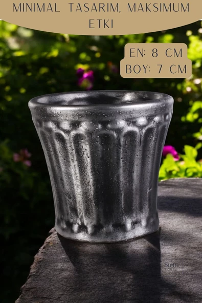 Stein Kohle Dekoratif Saksı Minik Kaktüs Saksısı Gümüş Eskitme Renk Model 40 - Resim 2