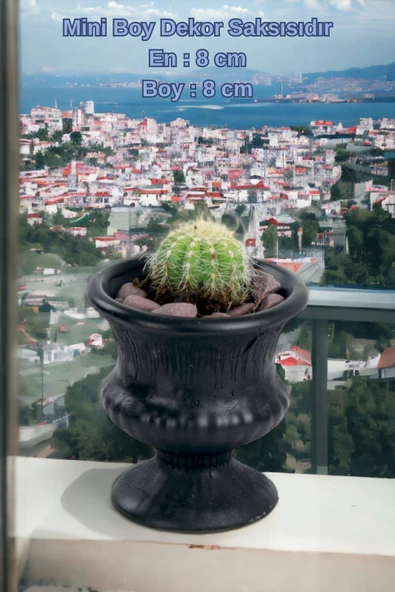 Kaktüs Saksı Dünyası El Yapımı Saksı Siyah Dekoratif Saksı Küçük Boy Model 33 - Resim 2