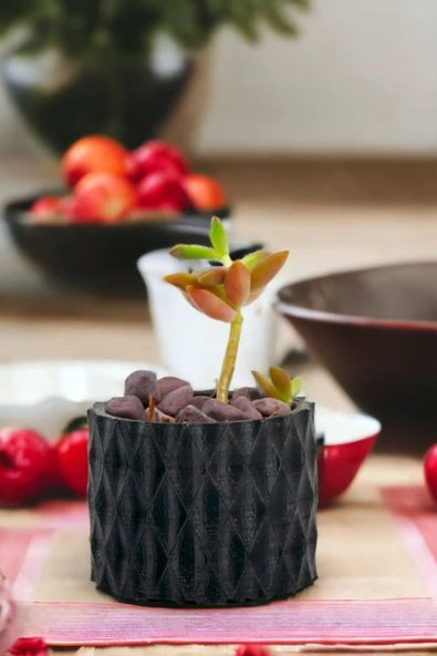 Viselia Kaktüs Saksısı Sukulent El Yapımı Saksı Balkon Çiçek Saksısı Ev Saksısı Saksı Model 16 Siyah - Resim 6