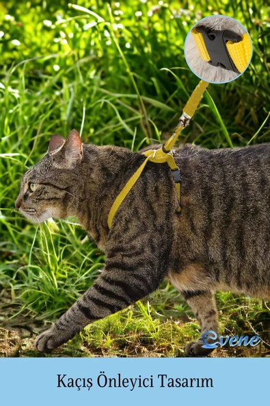 Evene Kedi Tasması Kedi Göğüs Bel Ayarlanabilir Dayanıklı Sağlam Tasma 1 cm İnce Kolon Sarı - Resim 2
