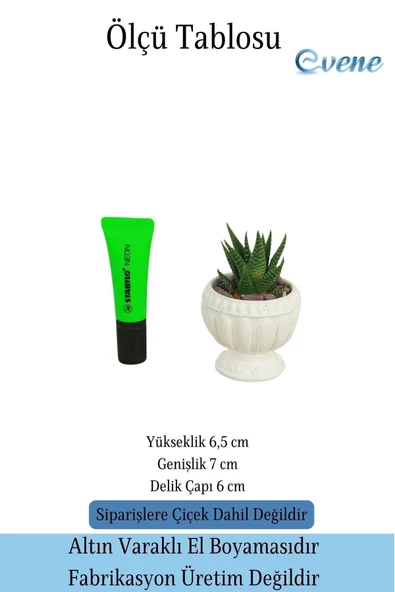Evene Mini Çiçek Saksı Küçük Sukulent Beyaz Kaktüs Saksısı Antika Model - 2