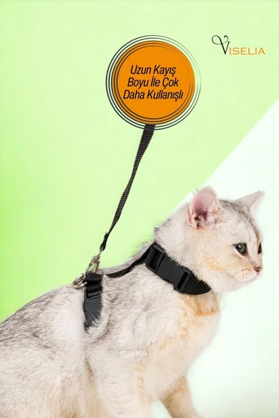 Viselia Kedi Tasması Boyun Göğüs Ayarlanabilir Sevk Kayışlı Gezdirme Seti - Resim 4