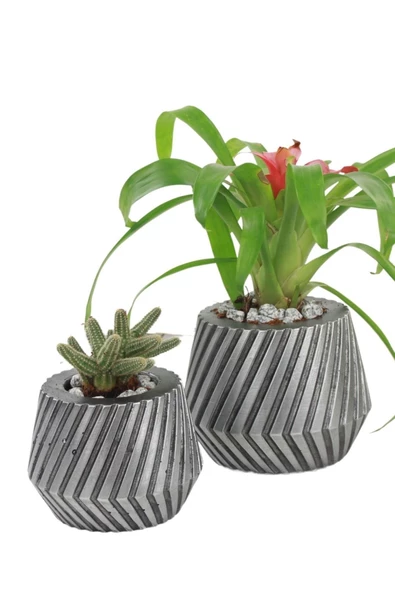 Evene Saksı Çiçek Kaktüs Saksısı Lüx 15 Cm Gümüş Eskitme Varak Mekanik Dişli Desen Saksı 2li Set Çiçeklik ürün görseli 1