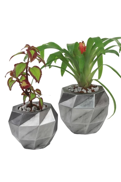 Evene Saksı Çiçek Kaktüs Saksısı Lüx 15 Cm Gümüş Eskitme Varak Boyalı Burgulu Desen Saksı 2li Set Çiçeklik