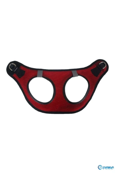 Evene Kedi Tasması Kayışlı Gezdirme Boyun Göğüs Tasması Reflektörlü Fileli Dayanıklı M Beden Kırmızı Renk - Resim 4