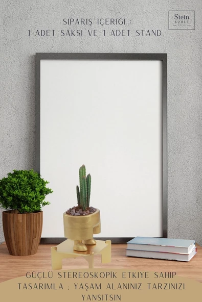 Stein Kohle Ayaklı Saksı Ahşap Büyük Boy 1 Adet Altın Renk Uygulamalı Pantolon Model - 4