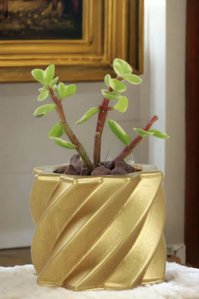 Viselia Kaktüs Saksısı Sukulent El Yapımı Saksı Balkon Çiçek Saksısı Ev Saksısı Saksı Model 9 Altın ürün görseli 1