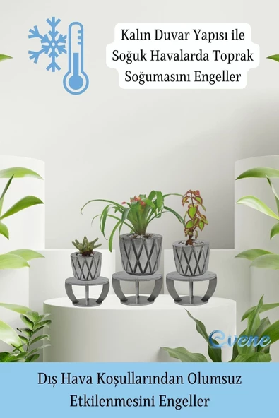 Evene Ahşap Ayaklı Beton Saksı Büyük Boy Set 3 Adet Gümüş Varak Boyalı Eskitmeli Baklava Model - Resim 7