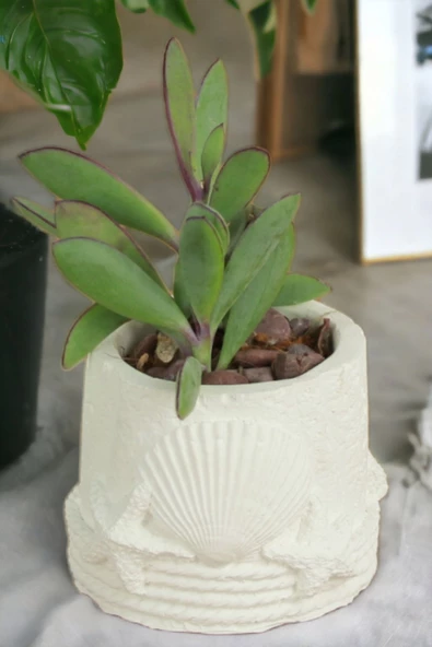 Kaktüs Saksı Dünyası El Yapımı Saksı Beyaz Dekoratif Saksı Küçük Boy Model 5 ürün görseli