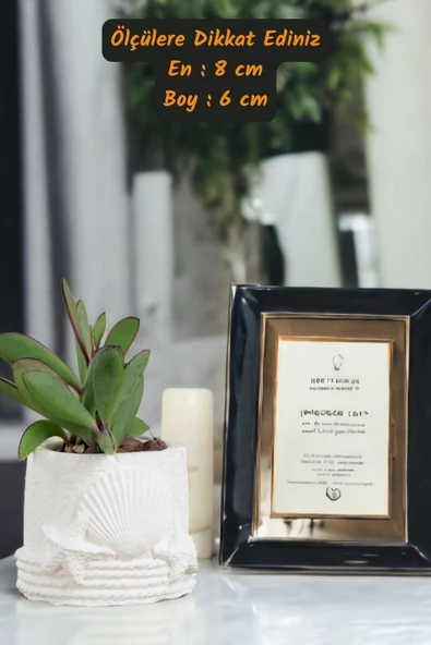 Viselia Kaktüs Saksısı Sukulent El Yapımı Saksı Balkon Çiçek Saksısı Ev Saksısı Saksı Model 5 Beyaz - Resim 3