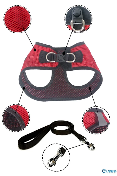 Evene Kedi Tasması Kayışlı Gezdirme Boyun Göğüs Tasması Reflektörlü Deri Fileli Dayanıklı M Beden Turuncu - Resim 6