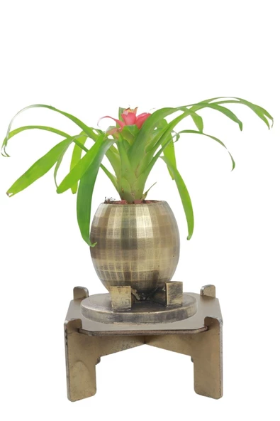 Stein Kohle Ayaklı Saksı Ahşap Büyük Boy 1 Adet Altın Renk Eskitme Uygulamalı Ayaklı Yuvarlak Model ürün görseli 1