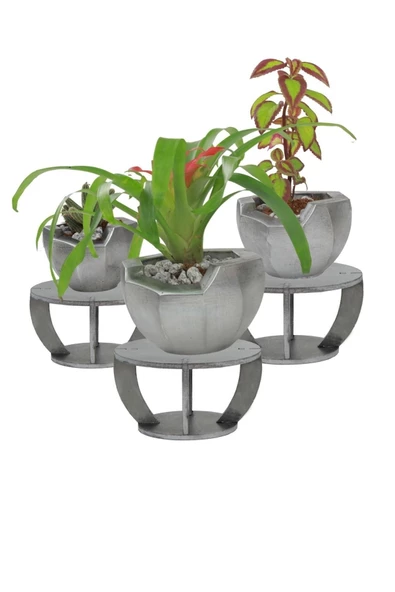 Evene Ahşap Ayaklı Beton Saksı Büyük Boy Set 3 Adet Gümüş Varak Boyalı Eskitmeli Önü Açık Model ürün görseli
