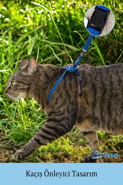 Evene Kedi Tasması Kedi Göğüs Bel Ayarlanabilir Dayanıklı Sağlam Tasma 1 cm İnce Kolon Mavi - 2