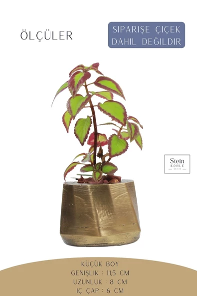 Stein Kohle Çiçek Saksısı Dekoratif Kaktüs Saksı 1 Adet Altın Renk Eskitme Uygulamalı Kalın Çizgili Model - Resim 2