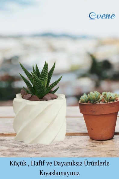 Evene Mini Çiçek Saksı Küçük Sukulent Beyaz Kaktüs Saksısı Kalın Çizgili Yıldız Model - Resim 3