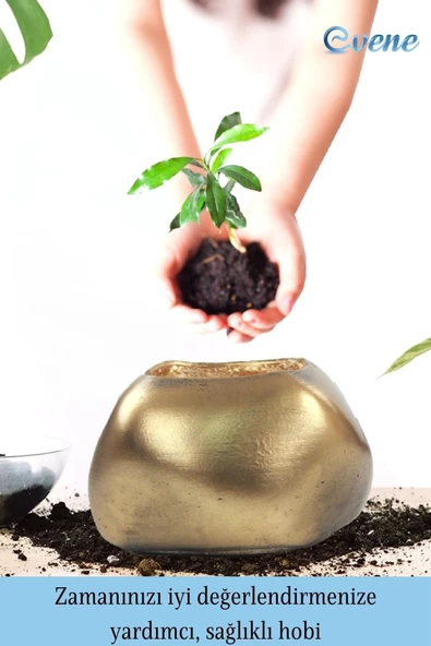 Evene Saksı Çiçek Kaktüs Saksısı Lüx 14 Cm Altın Eskitme Varak Boyalı Elips Desenli 3'lü Set Çiçeklik - Resim 4