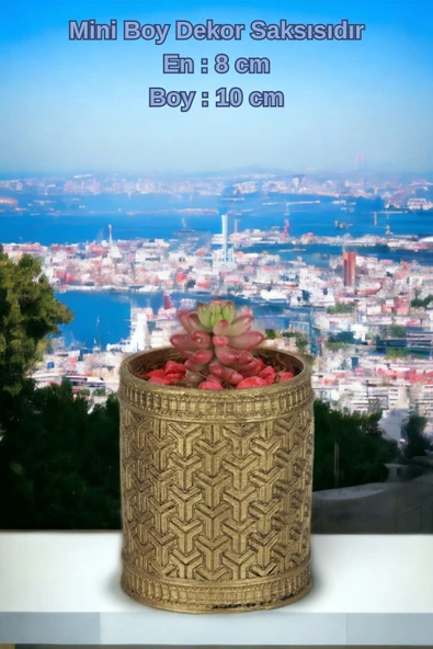 Kaktüs Saksı Dünyası El Yapımı Saksı Altın Eskitme Dekoratif Saksı Küçük Boy Model 42 - Resim 2