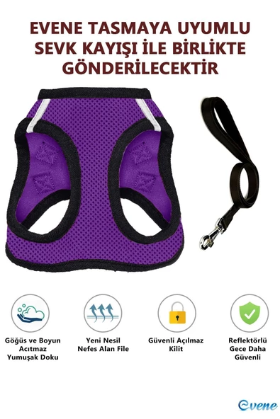 Evene Kedi Göğüs Tasması Kedi Köpek Boyun Göğüs Tasması M Beden Mor - Resim 5