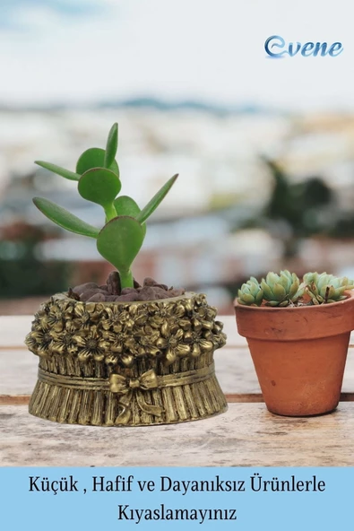 Evene Mini Çiçek Saksı Küçük Sukulent Altın Eskitme Kaktüs Saksısı Çiçekli Fiyonklu Model - Resim 3