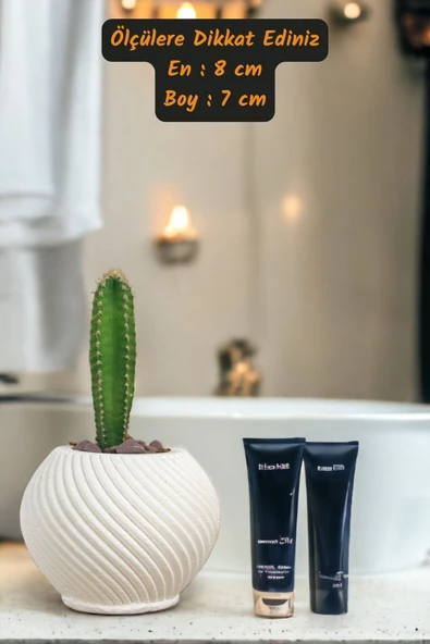 Viselia Kaktüs Saksısı Sukulent El Yapımı Saksı Balkon Çiçek Saksısı Ev Saksısı Saksı Model 1 Beyaz - Resim 3